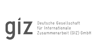 aliados estrategicos 6