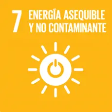 objetivos desarrollo sostenible 19