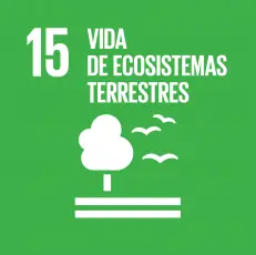 objetivos desarrollo sostenible 27